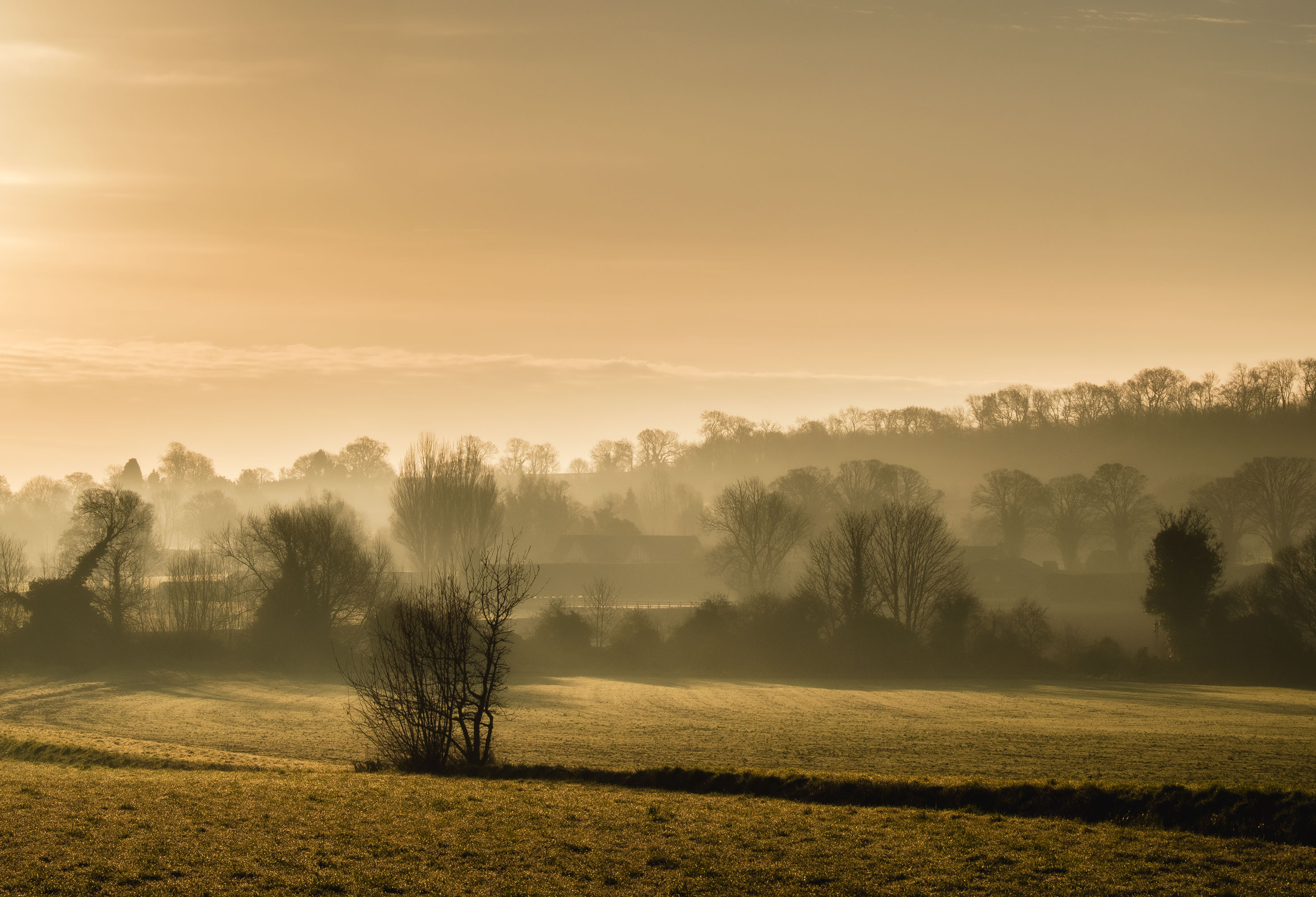 Dawn at Woodborough, Nottingham