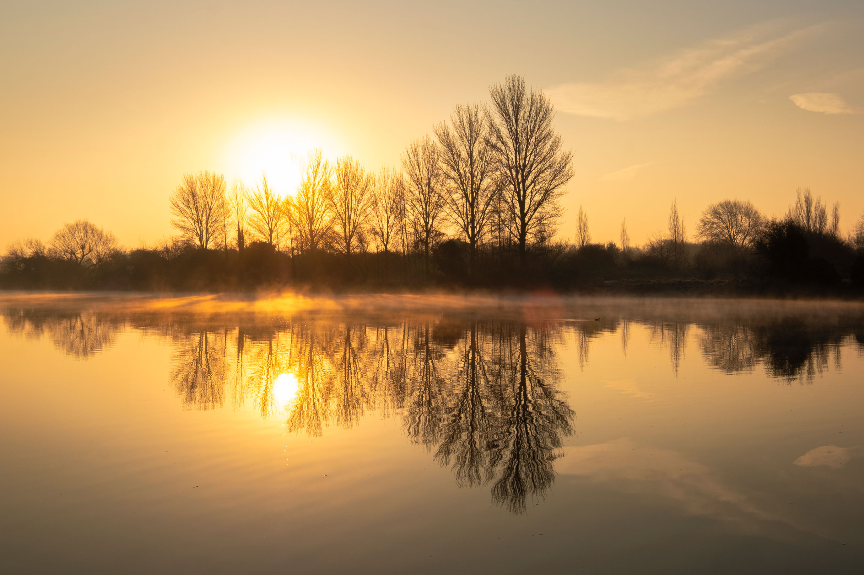 Golden Dawn on The River Trent