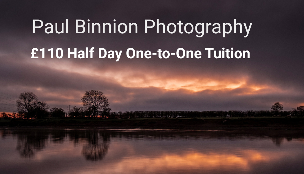 Half-Day One-to-One Tuition Voucher