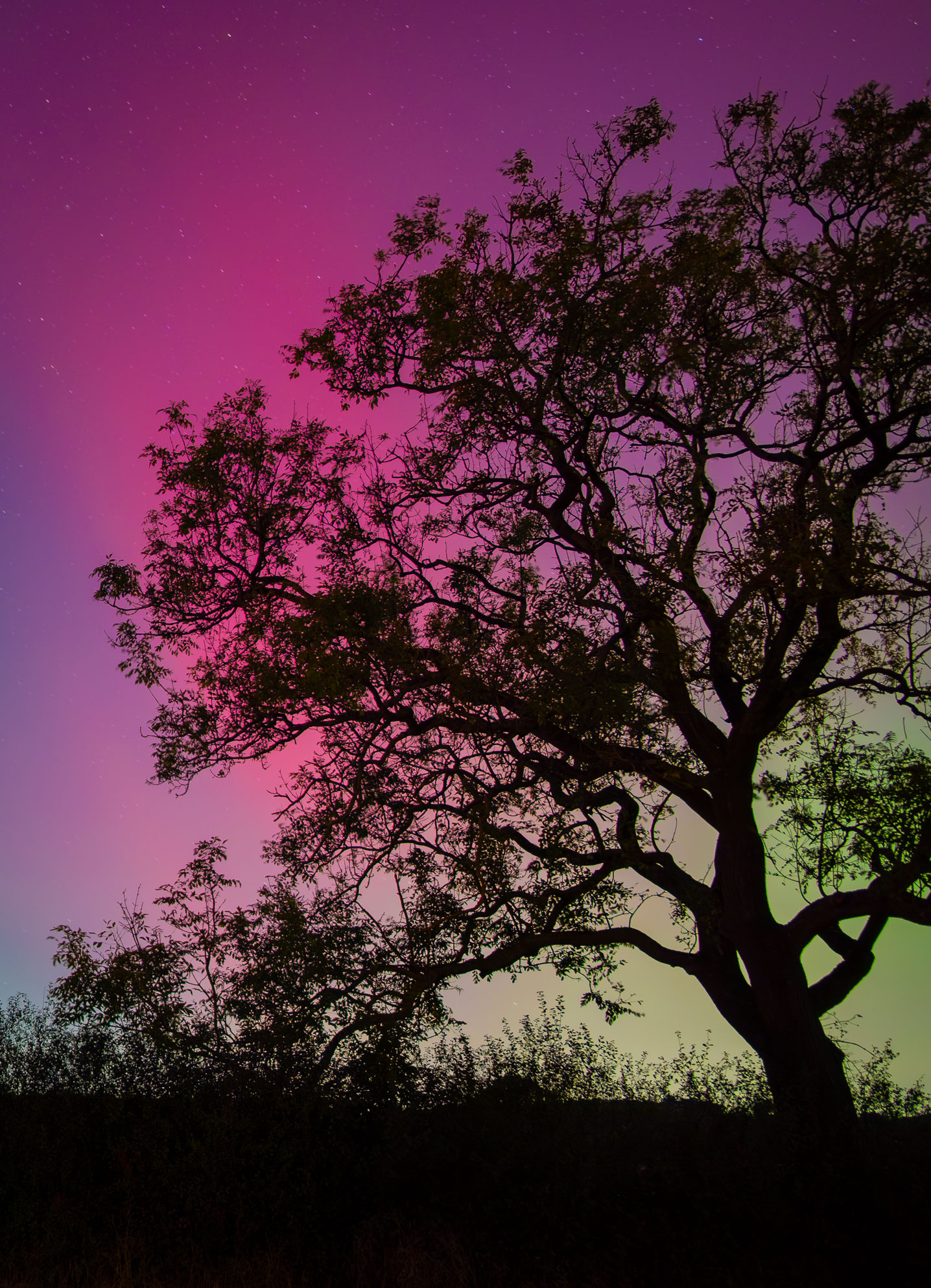 Aurora Borealis in Lambley, Nottingham