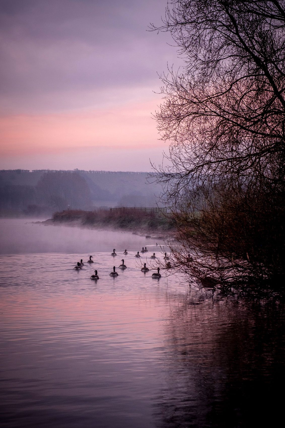 Stoke Bardolph Dawn