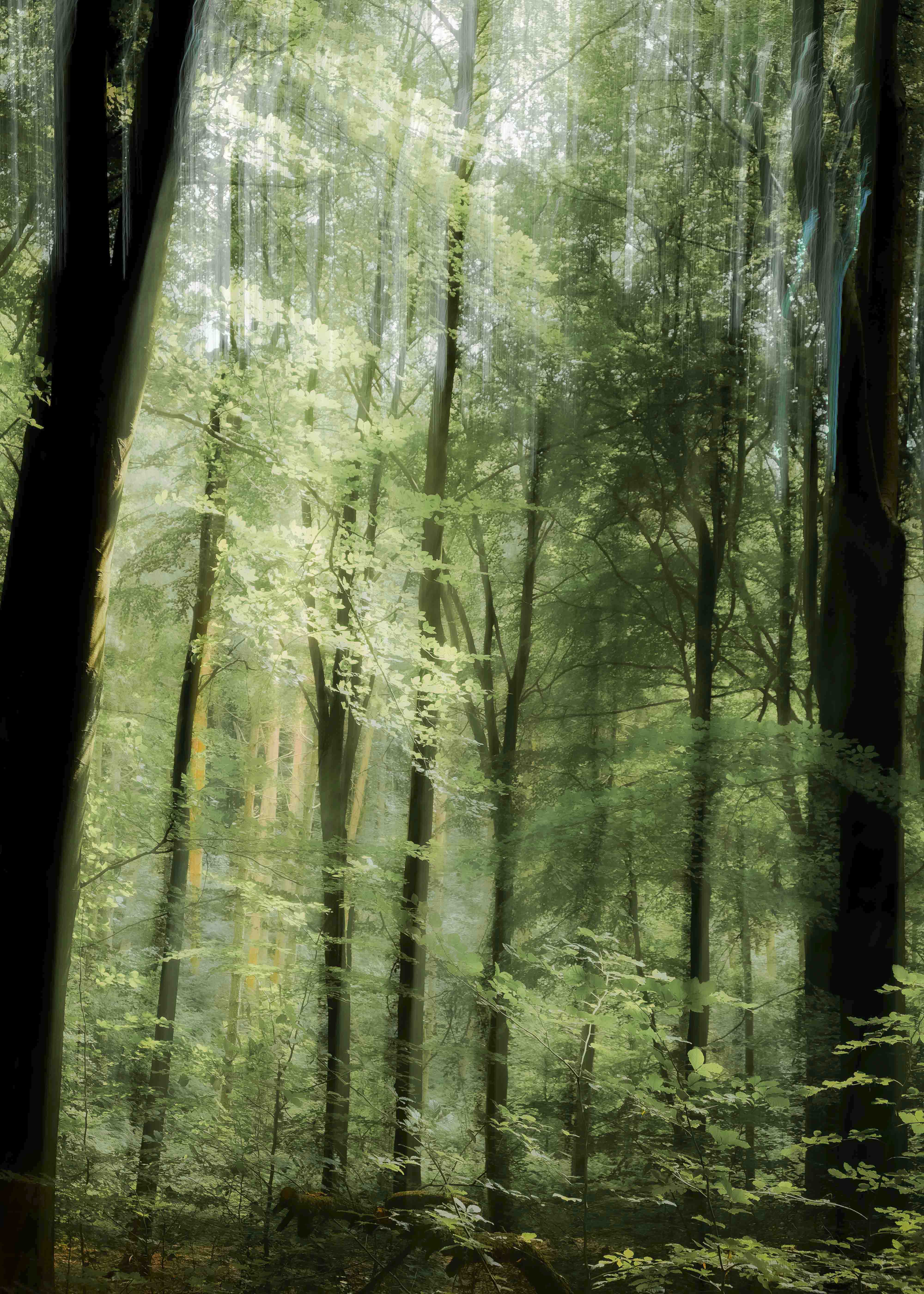 Annesley Summer #2