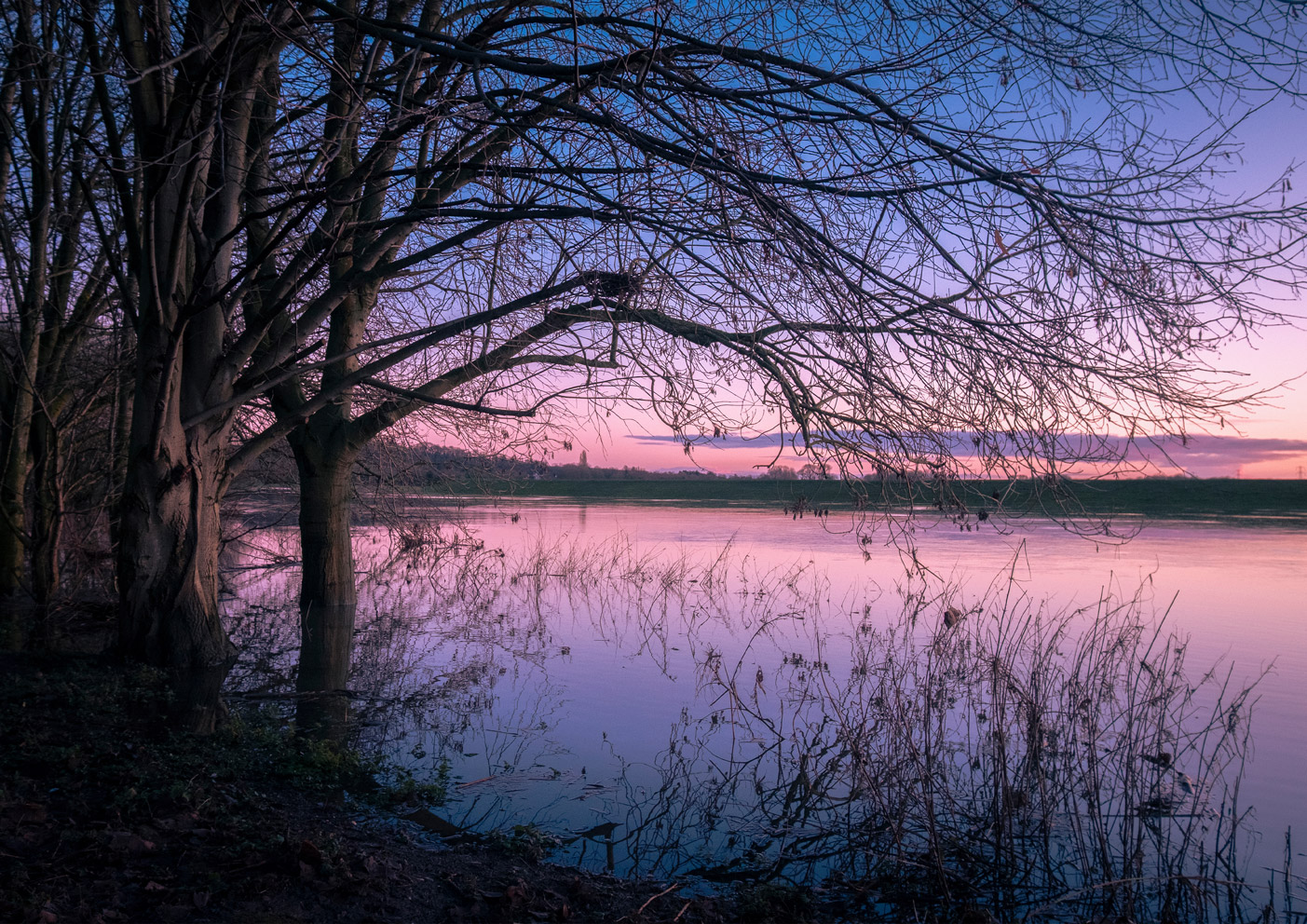 Pre-Dawn Winter Light on the River Trent  at Burton Joyce
