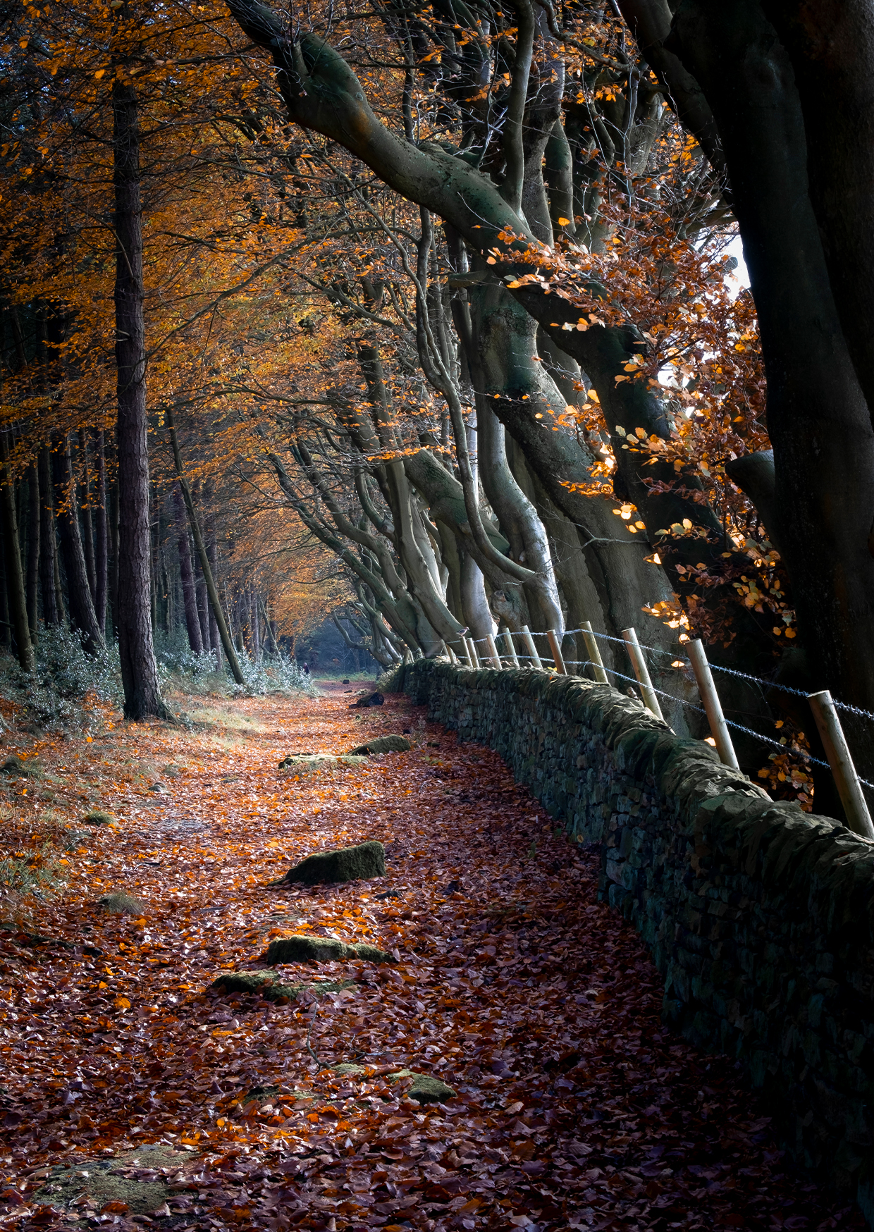 Upper Moor, Peak District