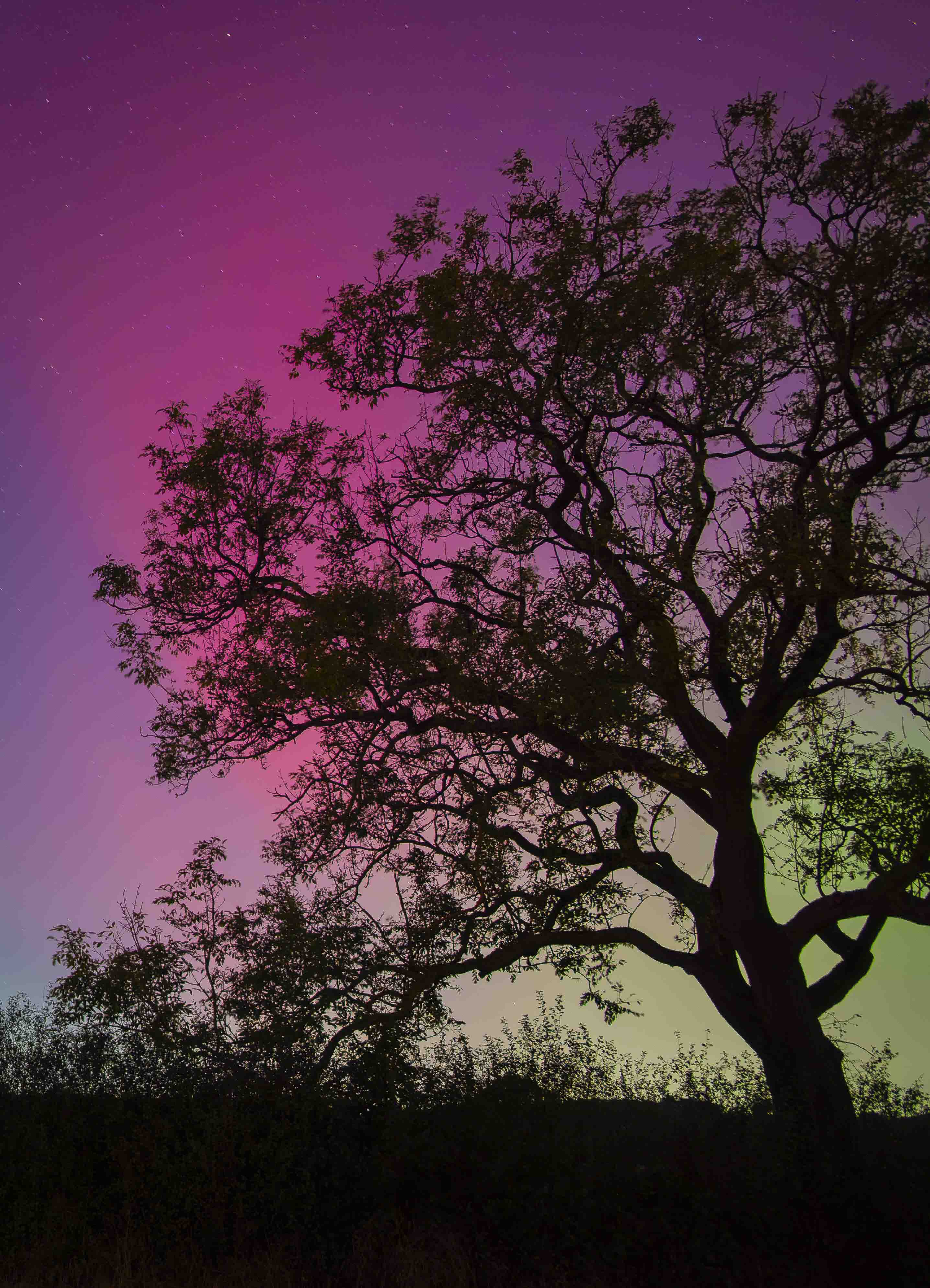 Aurora at Lambley