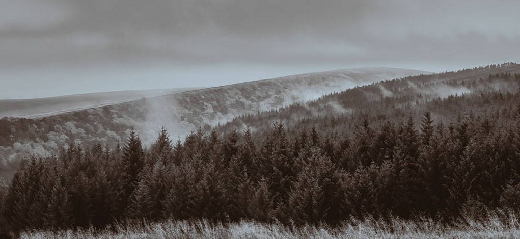 Goyt Valley Mist