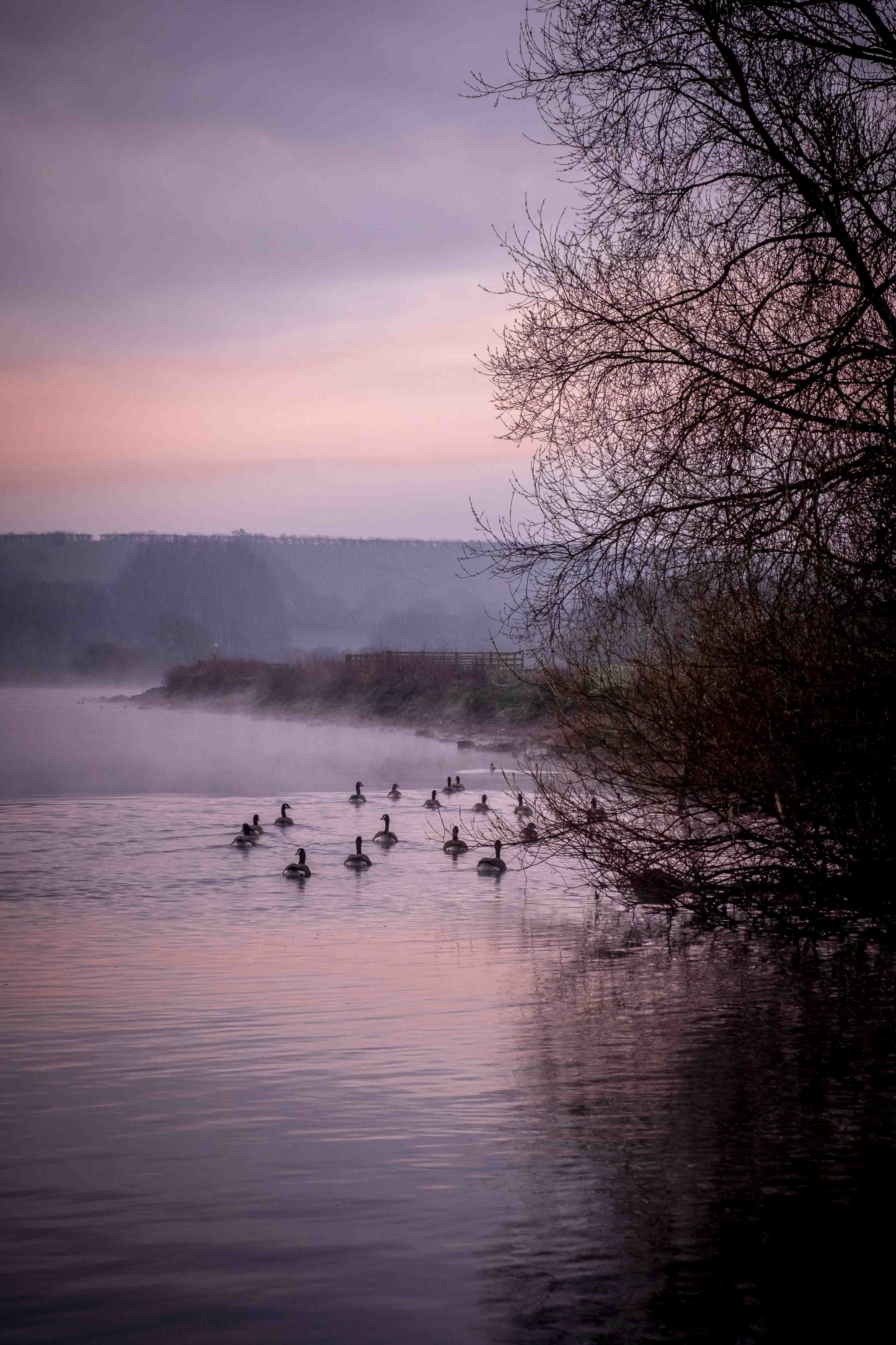 Stoke Bardolph Dawn