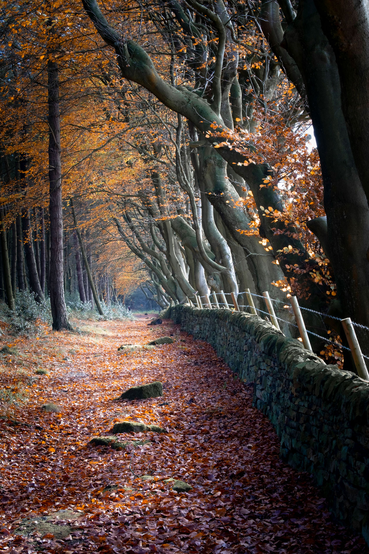 Upper Moor, The Peak District