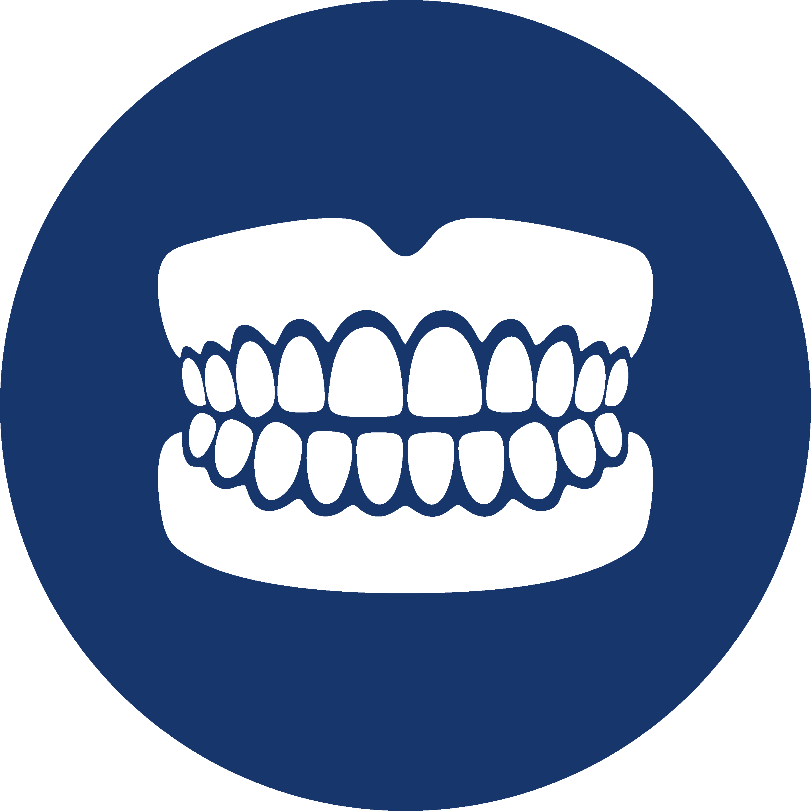 Prótesis Dental