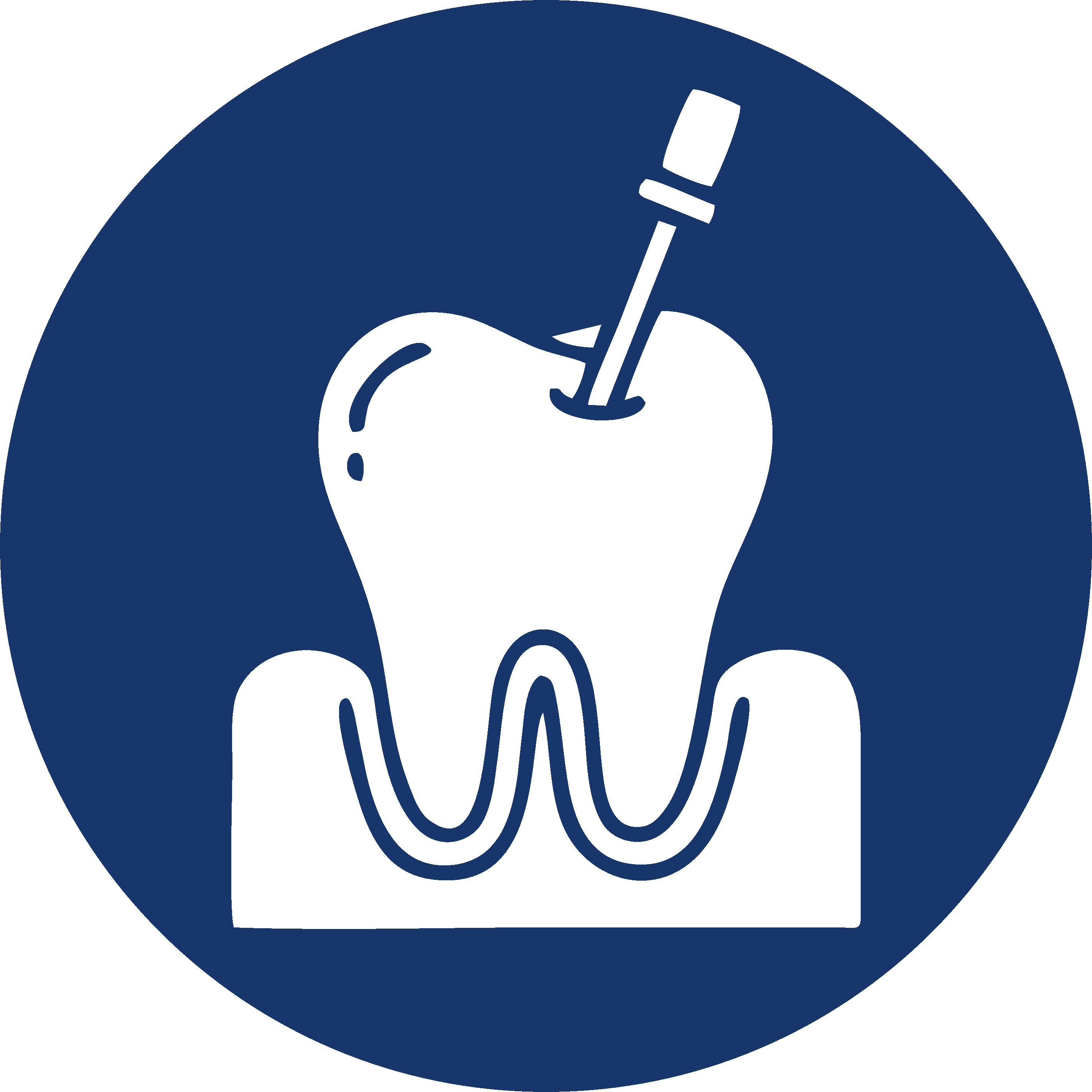 Endodoncia