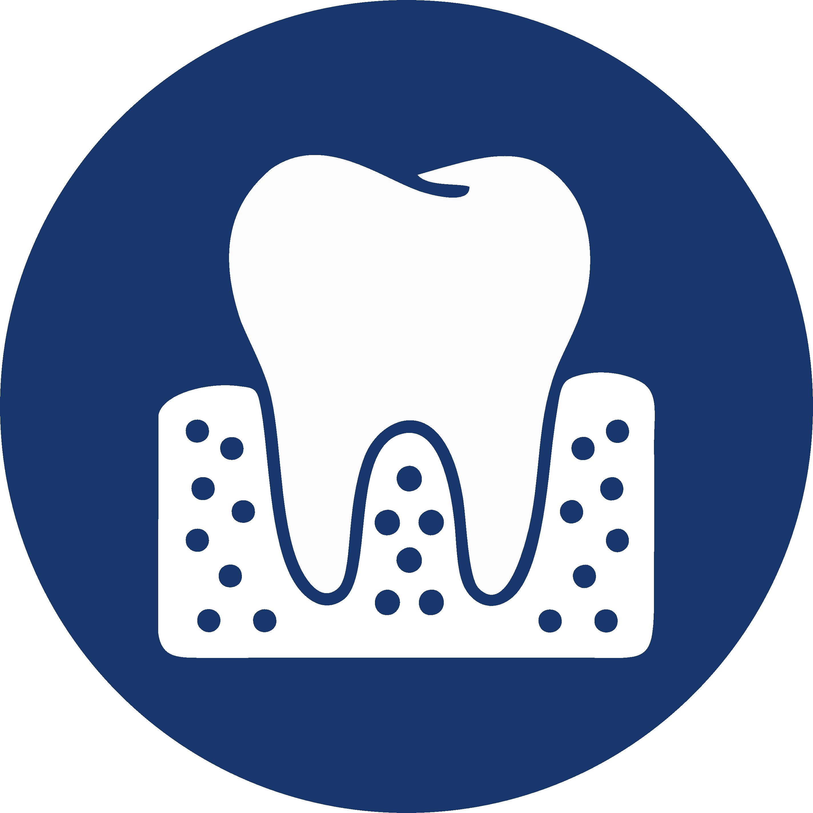 Periodoncia