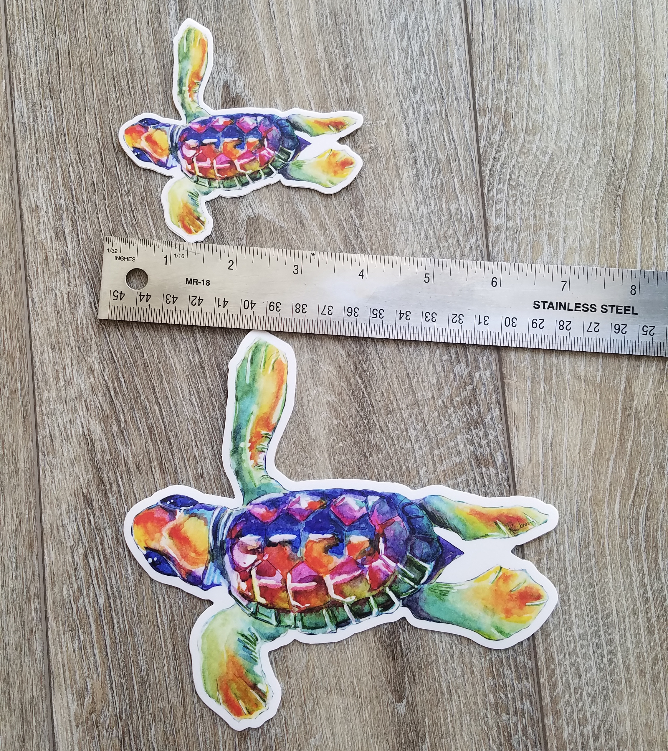 Rainbow Turtle Sticker