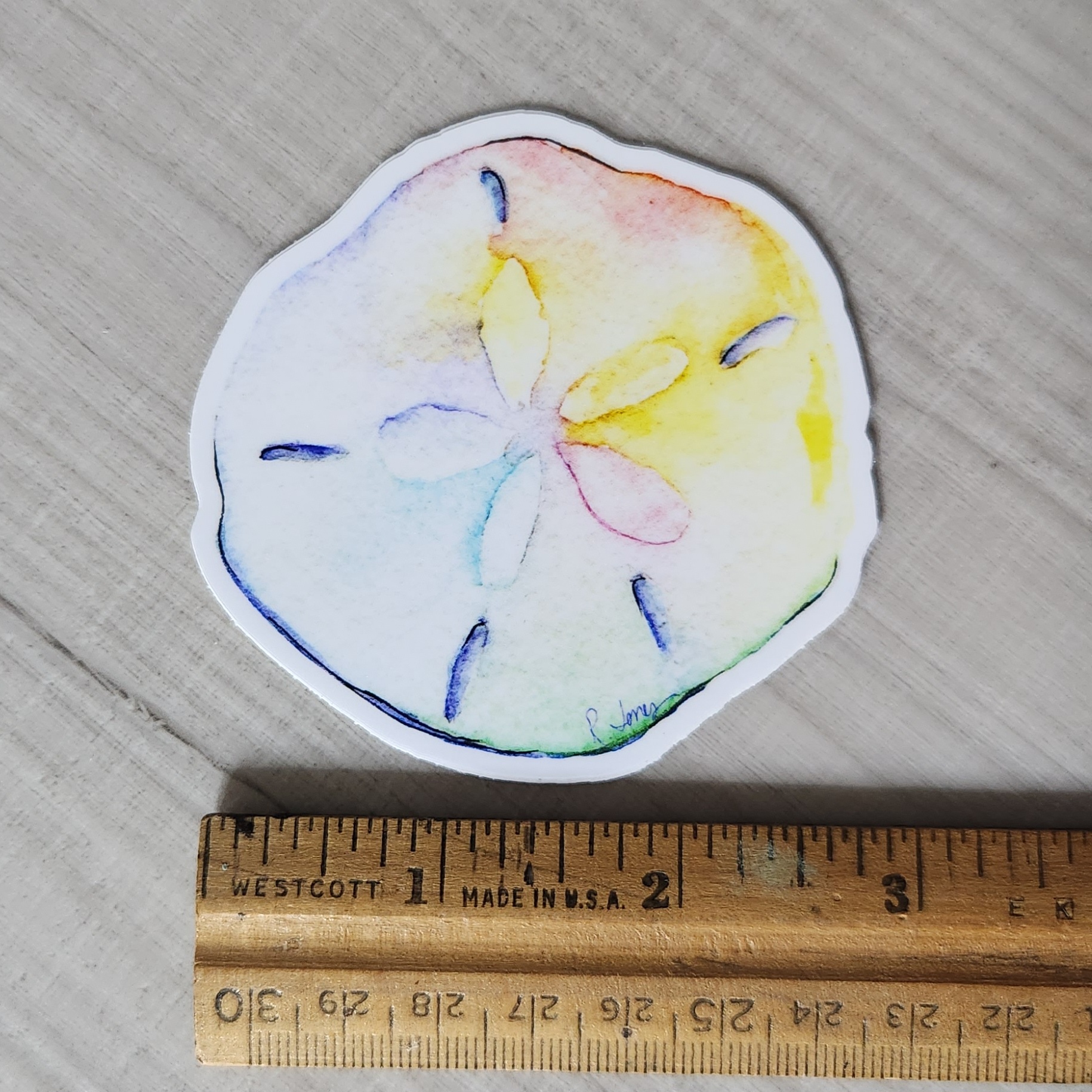 Watercolor Sand Dollar Sticker