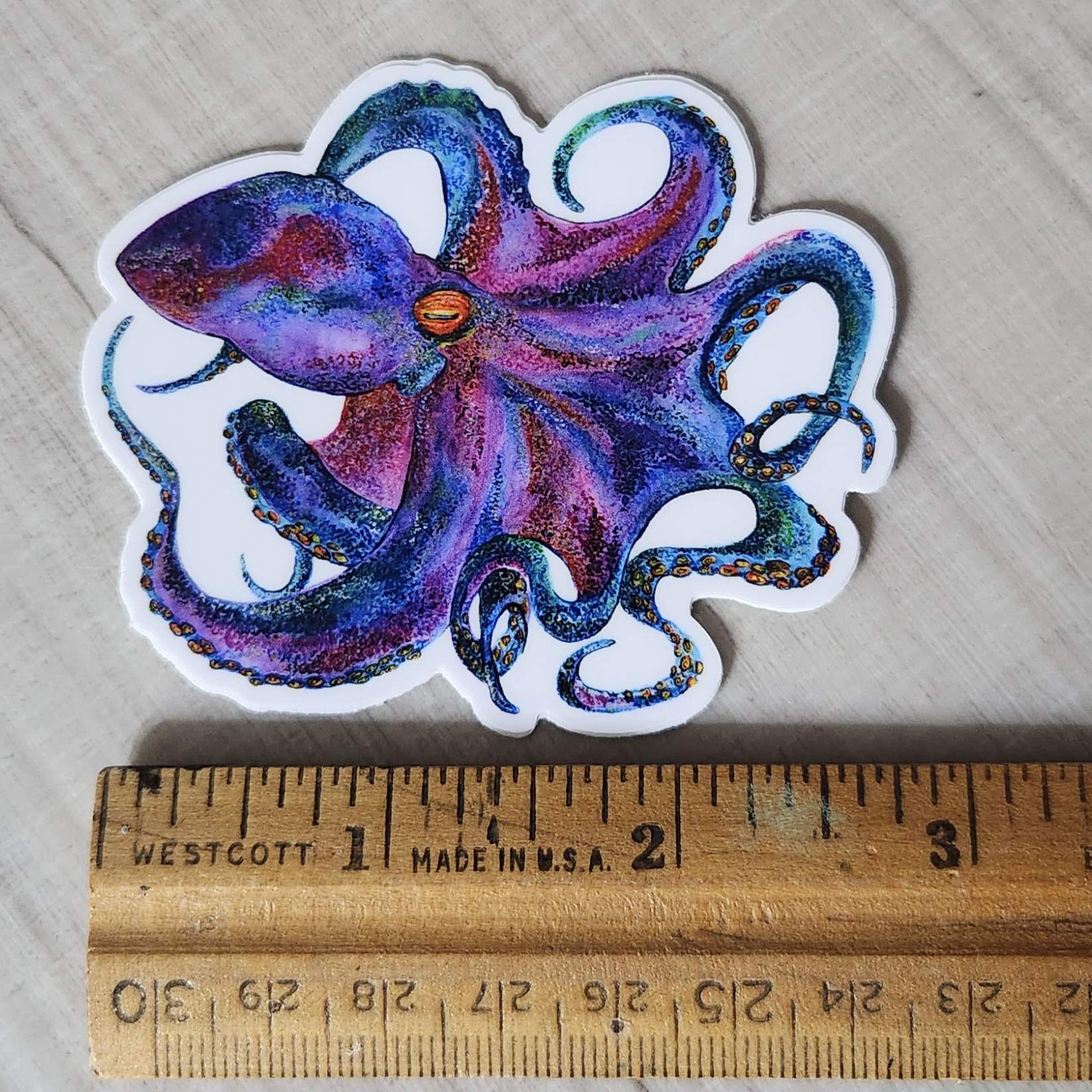 Colorful Octopus-2 Sticker