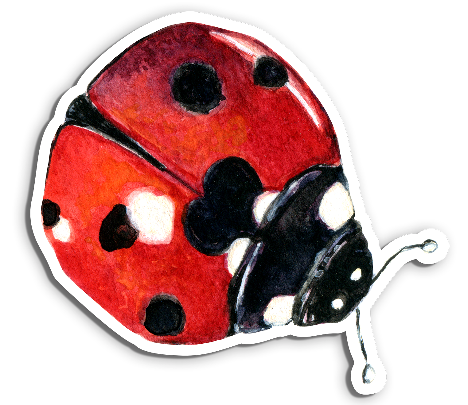 Ladybug Sticker