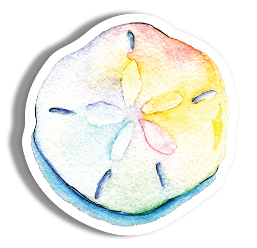 Watercolor Sand Dollar Sticker