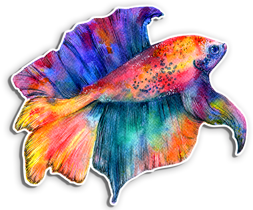 Colorful Betta Fish Sticker