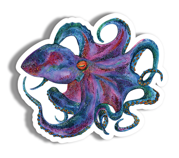 Colorful Octopus-2 Sticker