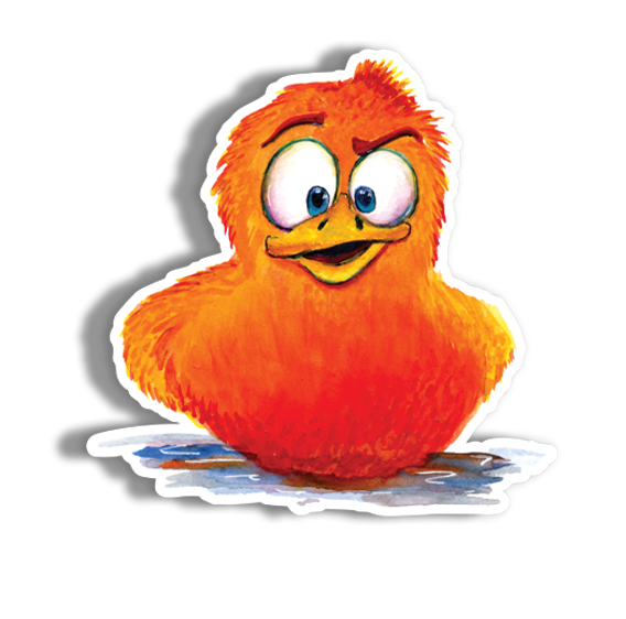 What the? Duck Decal 
