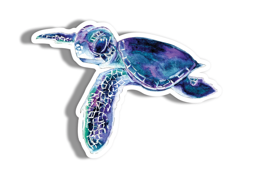Blue Sea Turtle Sticker
