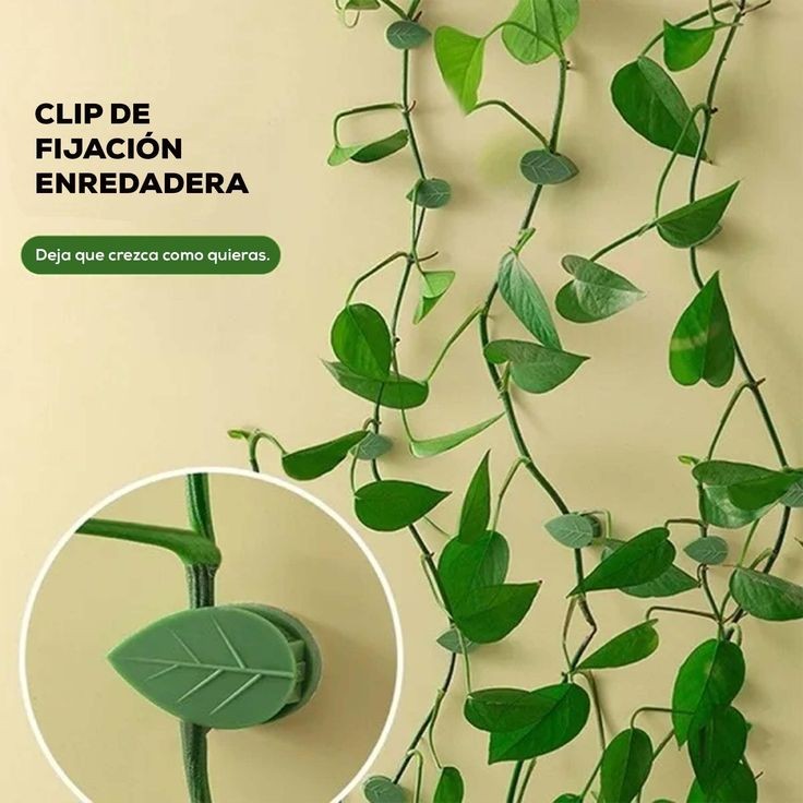 Leaf Plant Clips (10 Pcs Set)