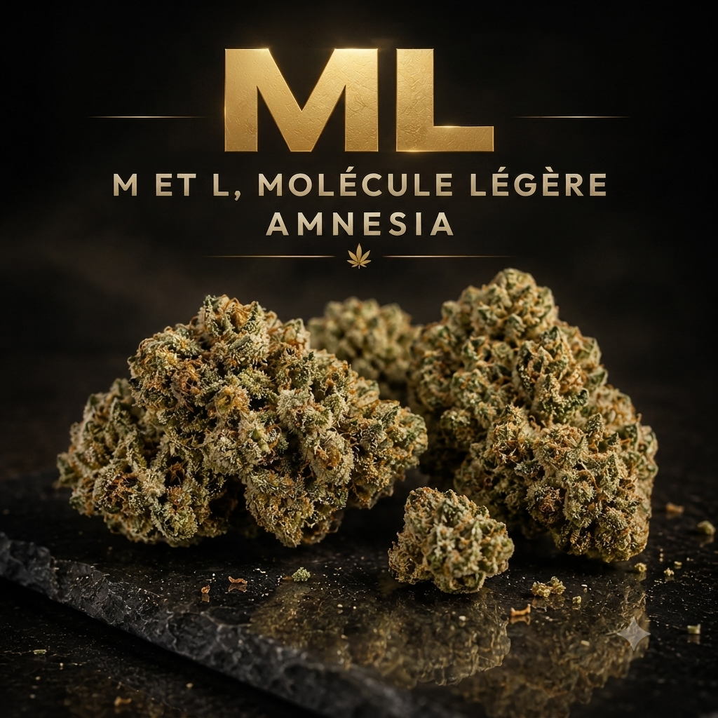  Fleur: ML amnésia