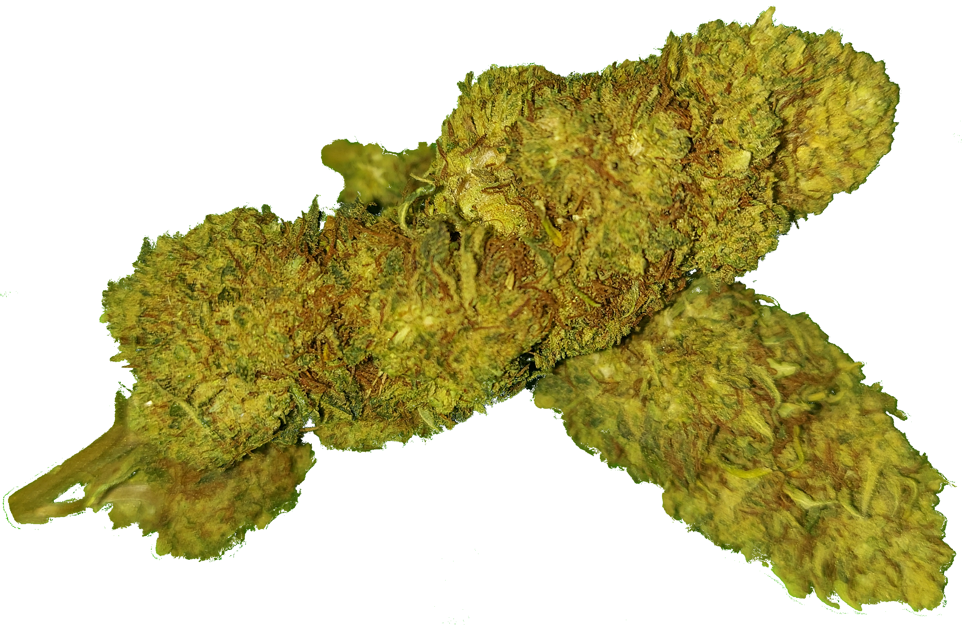 Fleur: FRUITY 🚫🤯