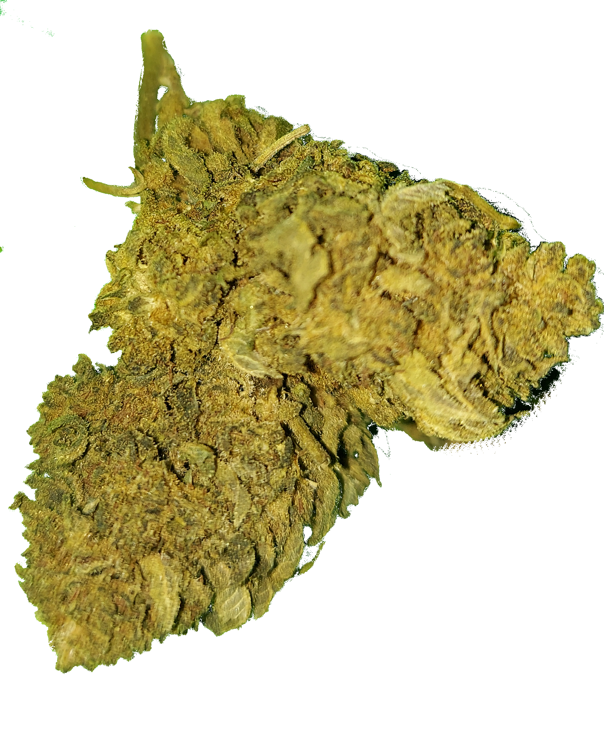 Fleur: Sweety đ«đ€Ż