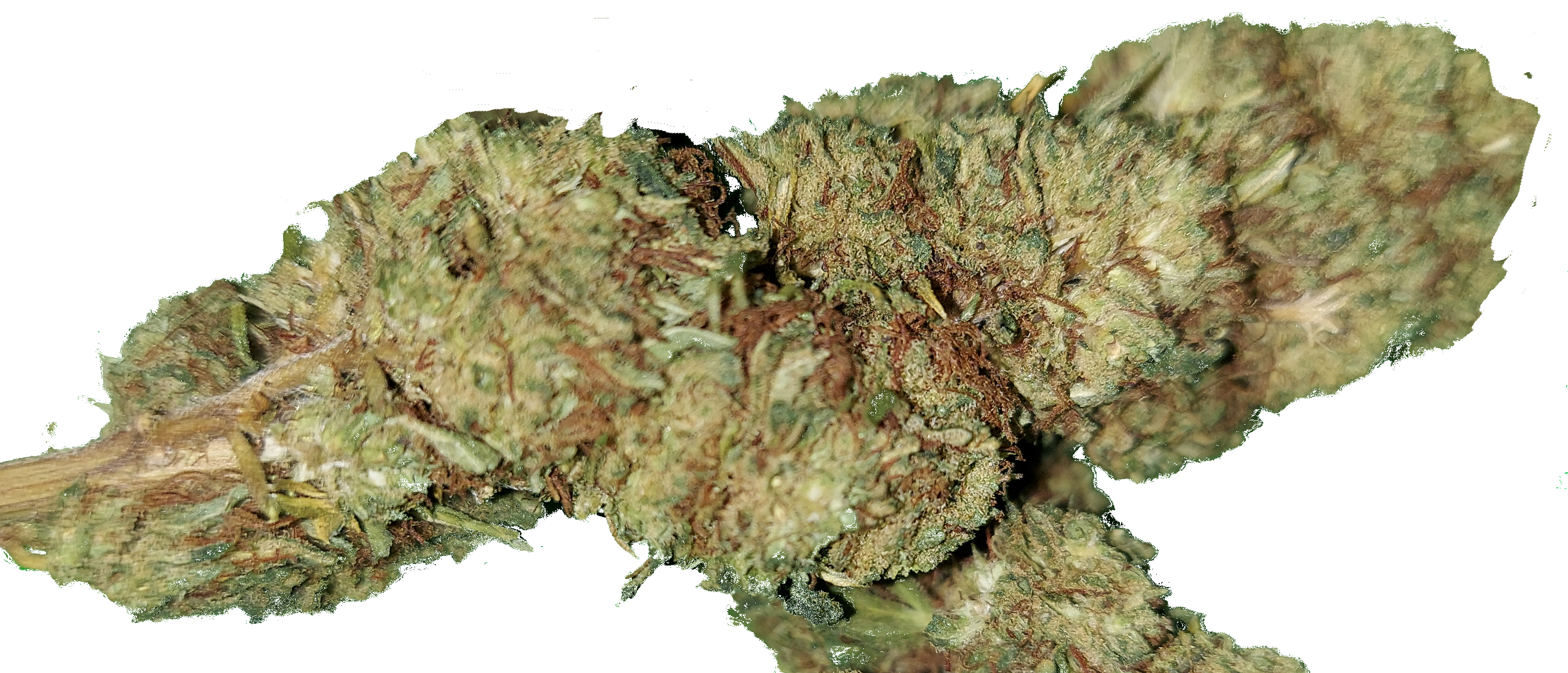 Fleur: MARS 🚫🤯