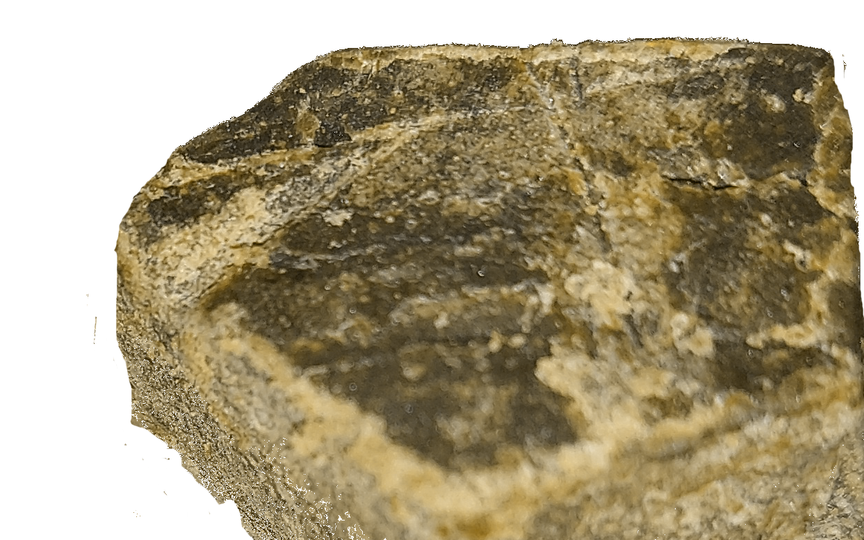 Résine: ICE CREAM 🚫🤯