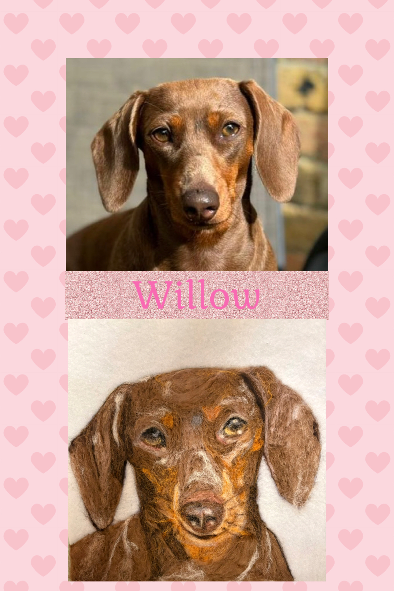 Custom Pet Portrait 