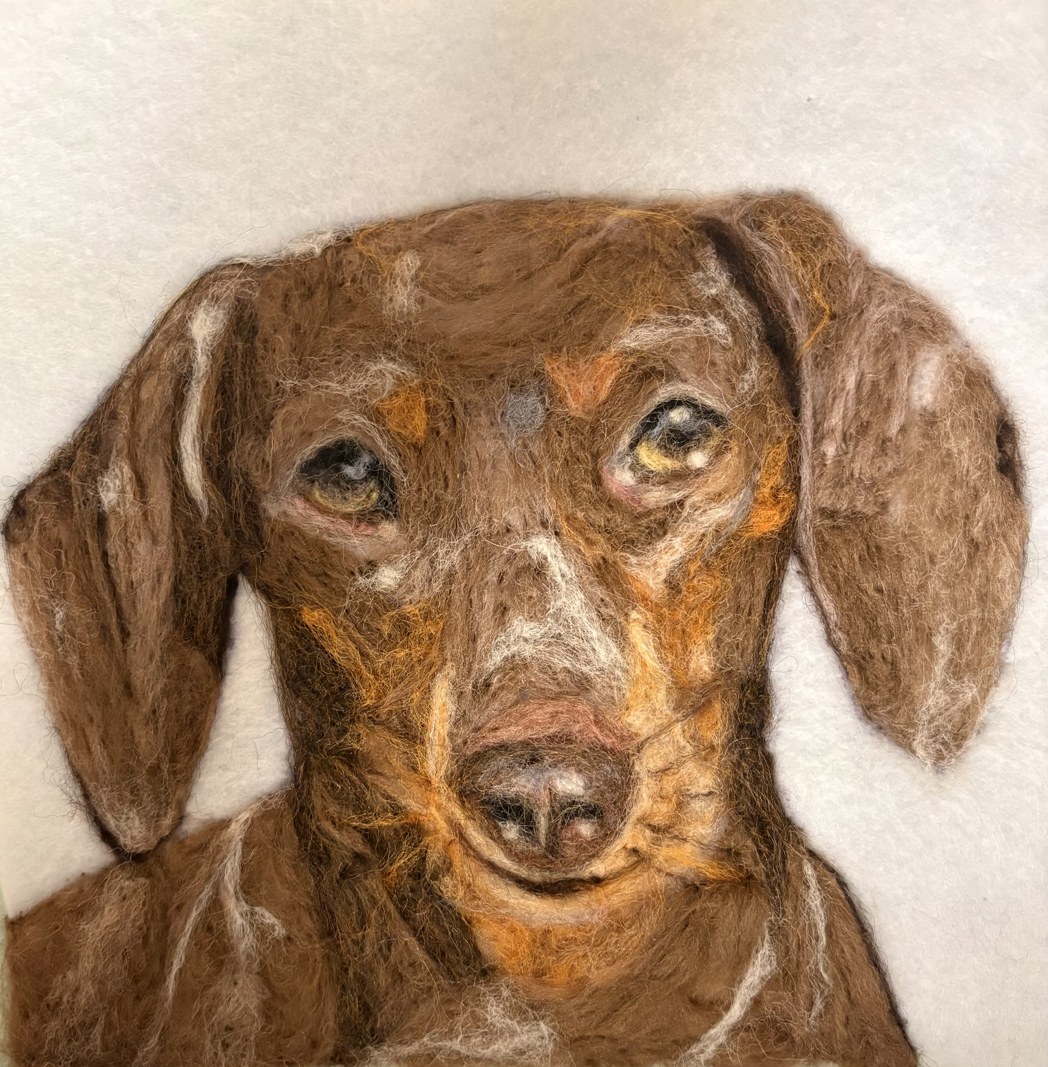 Custom Pet Portrait