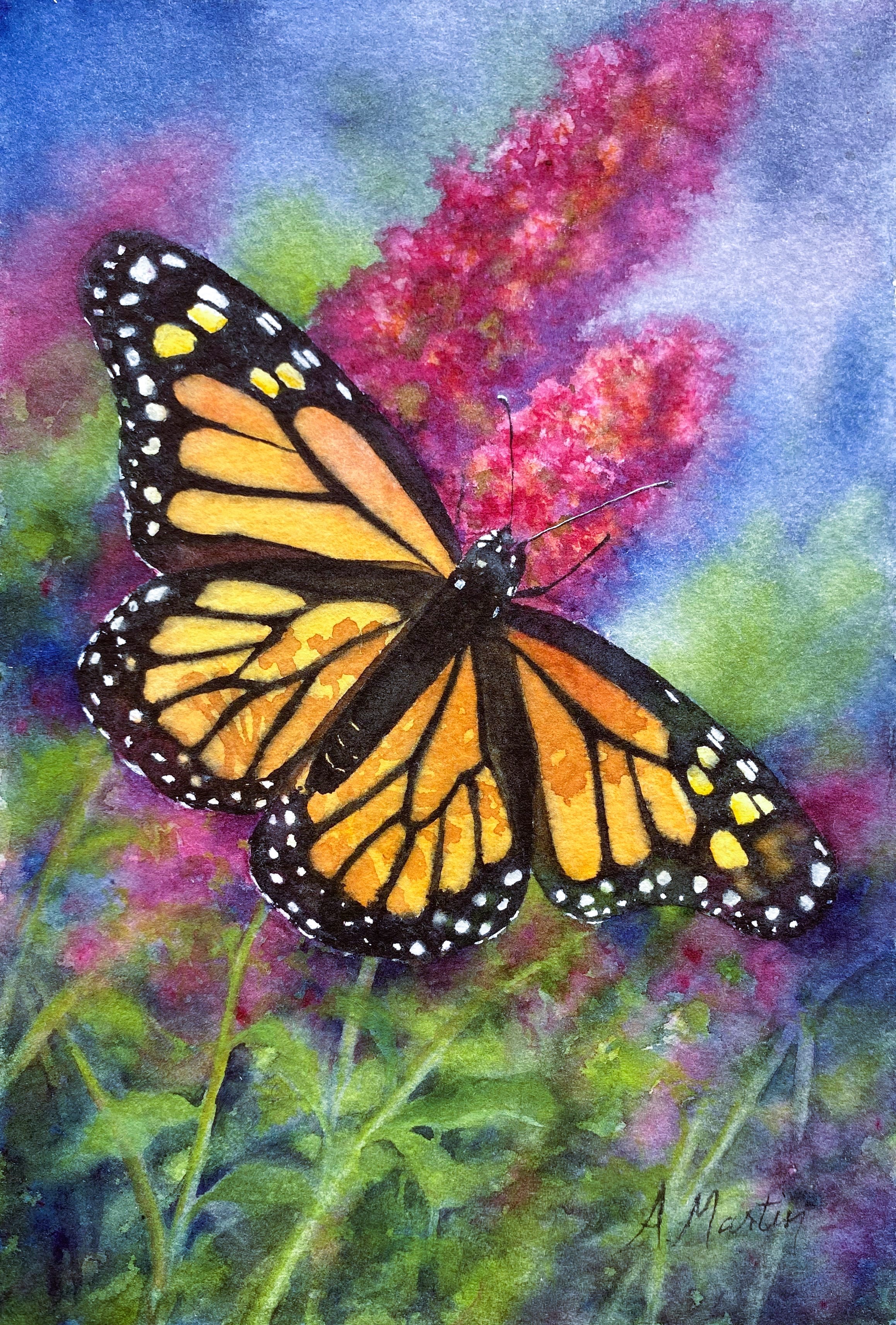 Monarch on Butterfly Bush