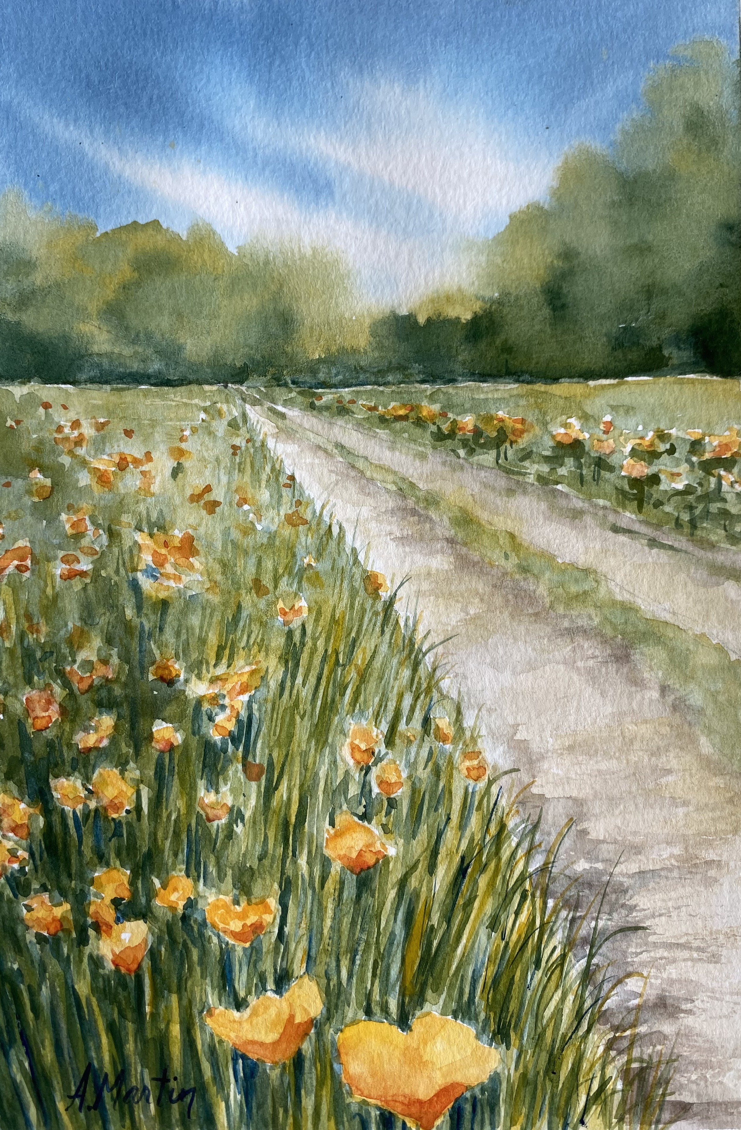 Poppy Road