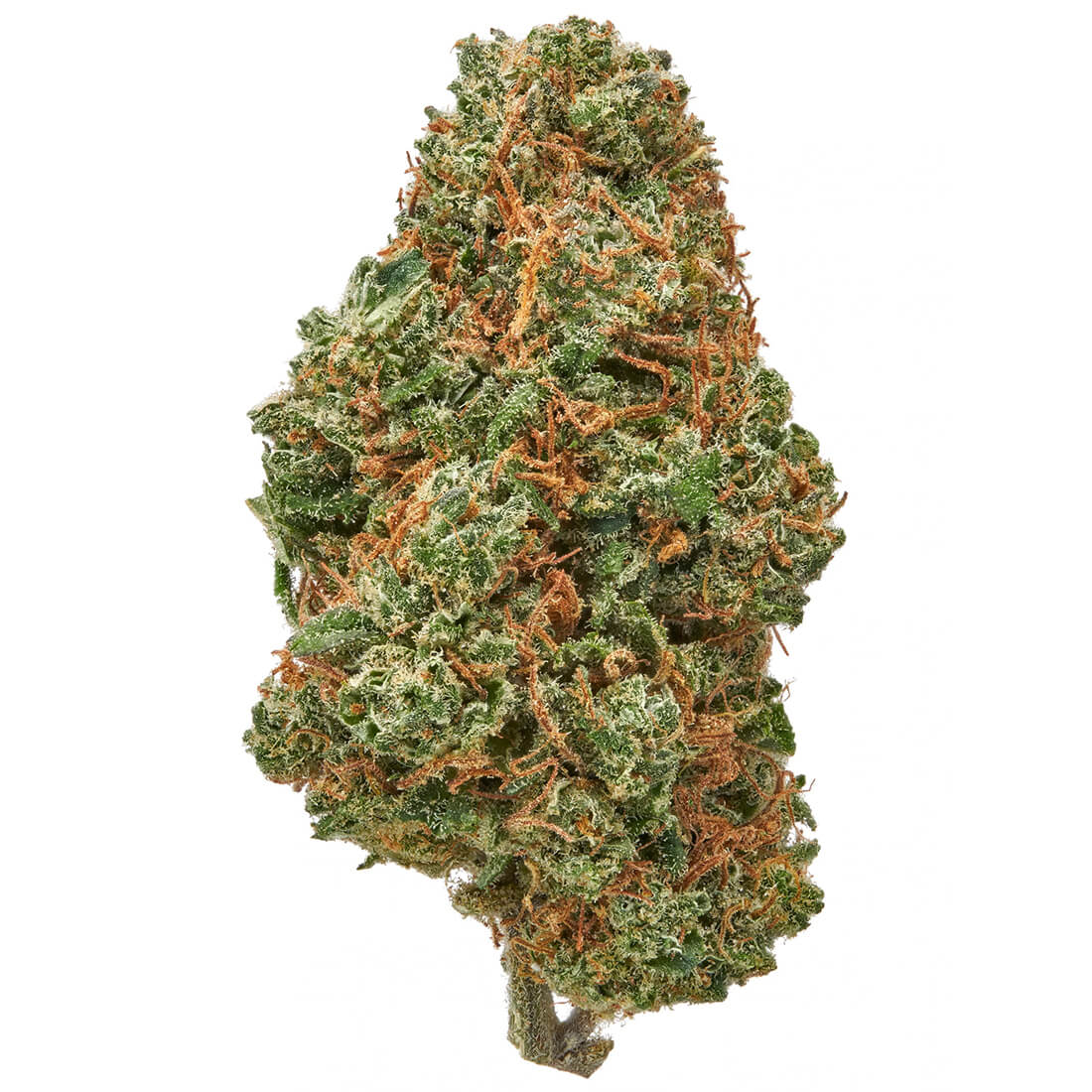 Green Cherry