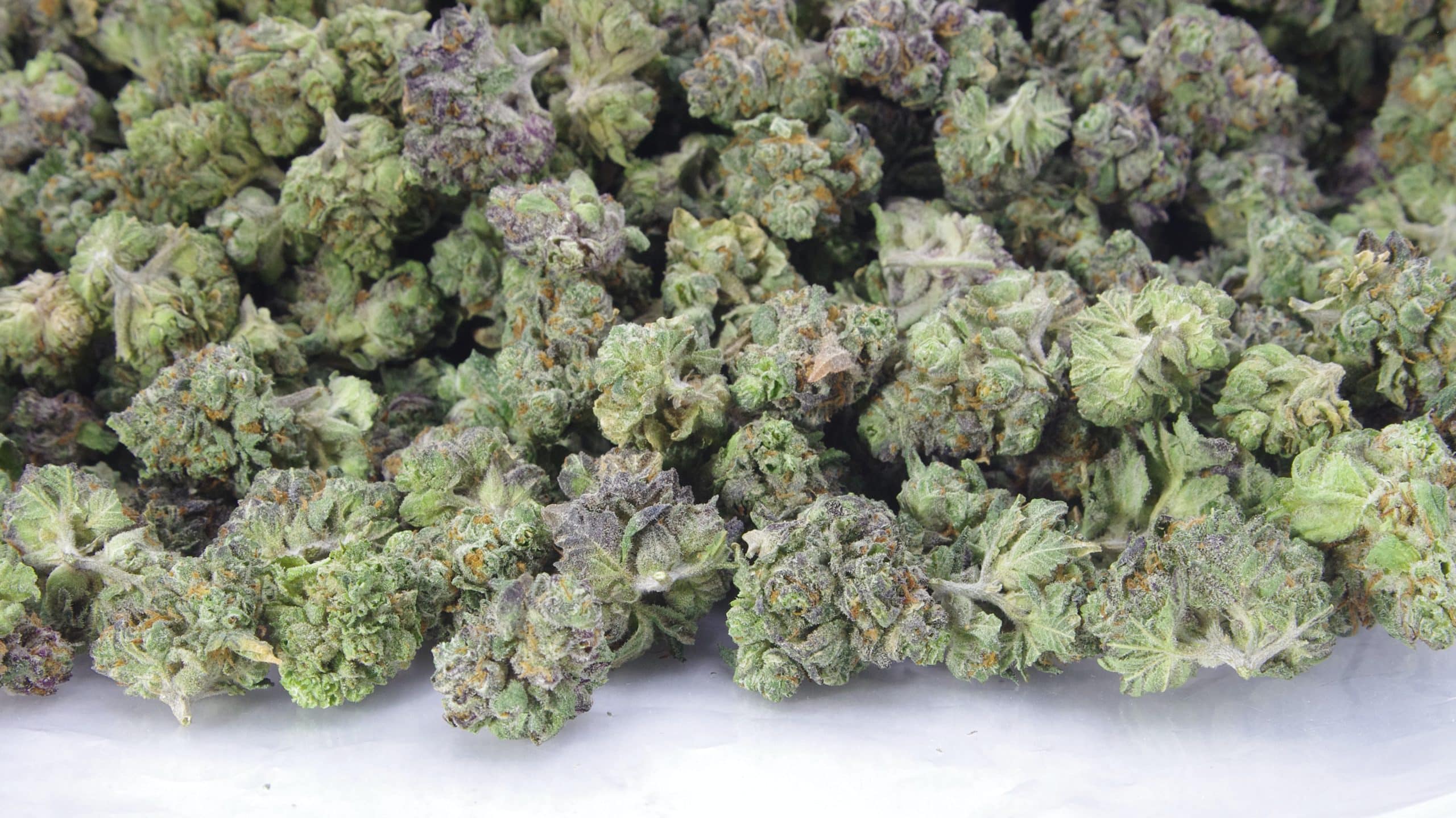 Mendo Breath Smalls