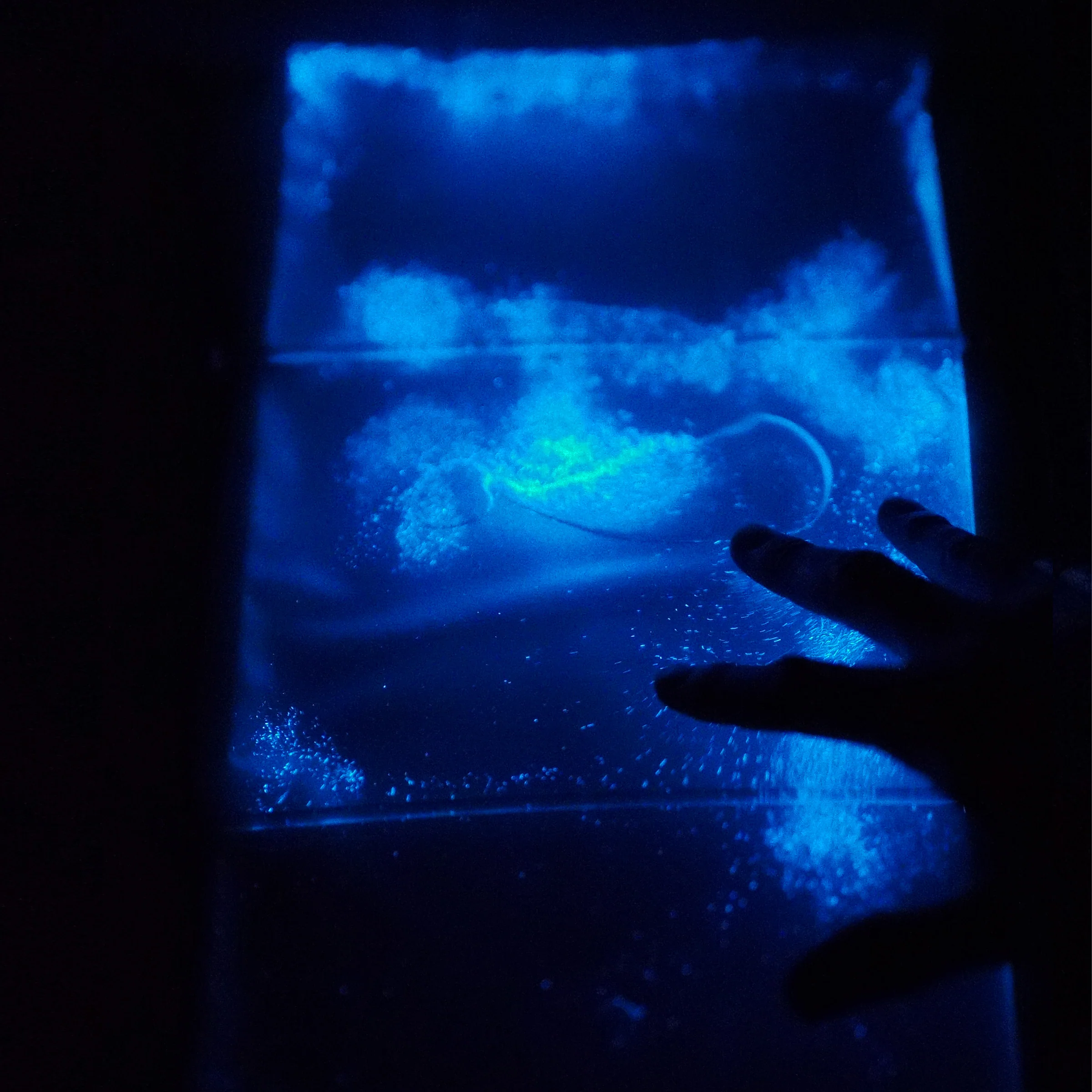 Alien DNA Tile