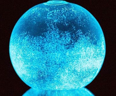 Alien DNA Orb with Food