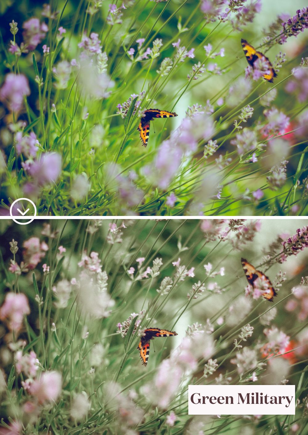 Green Tones Collection: A world of vibrant green presets
