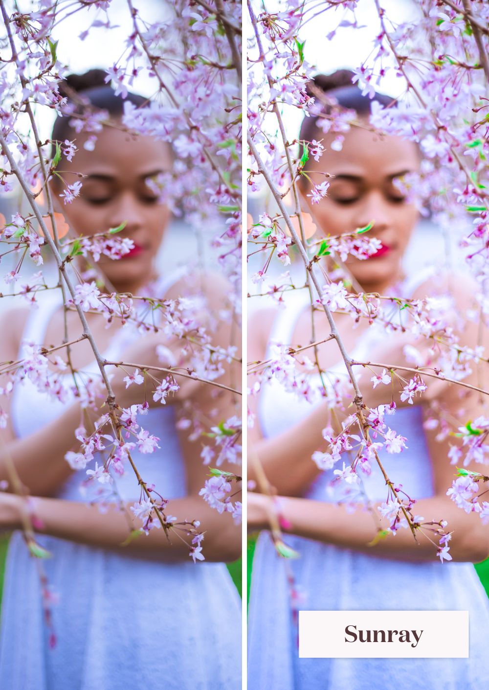 Springtime Presets Collection