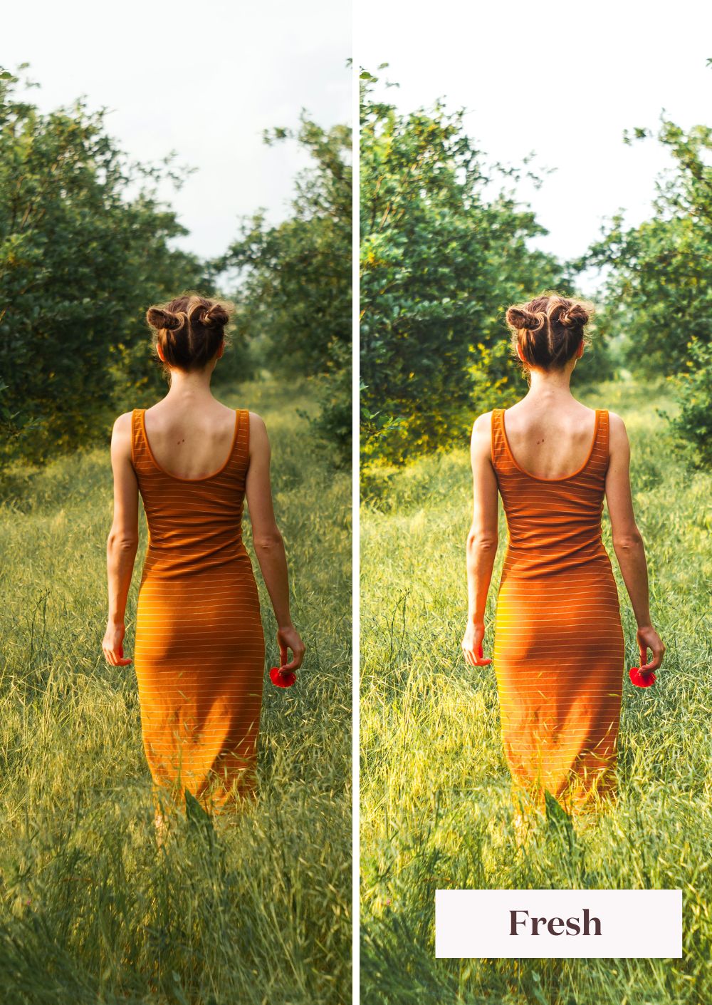 Springtime Presets Collection