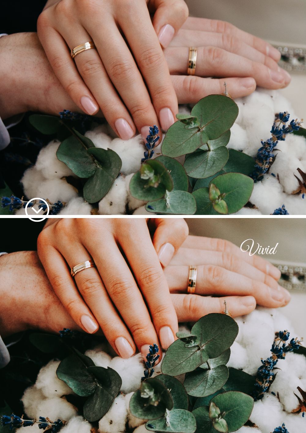Wedding Presets Colleciton