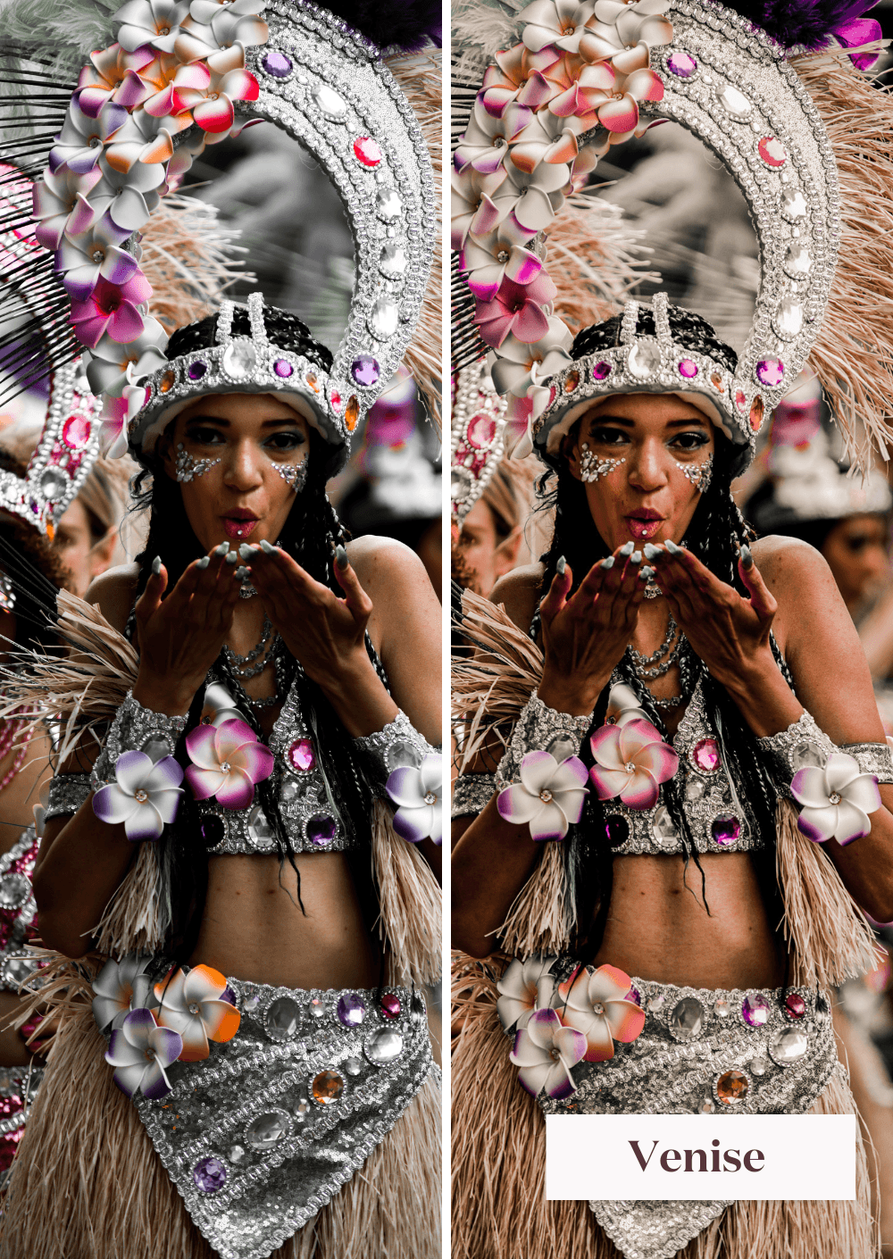 Carnaval Presets Collection
