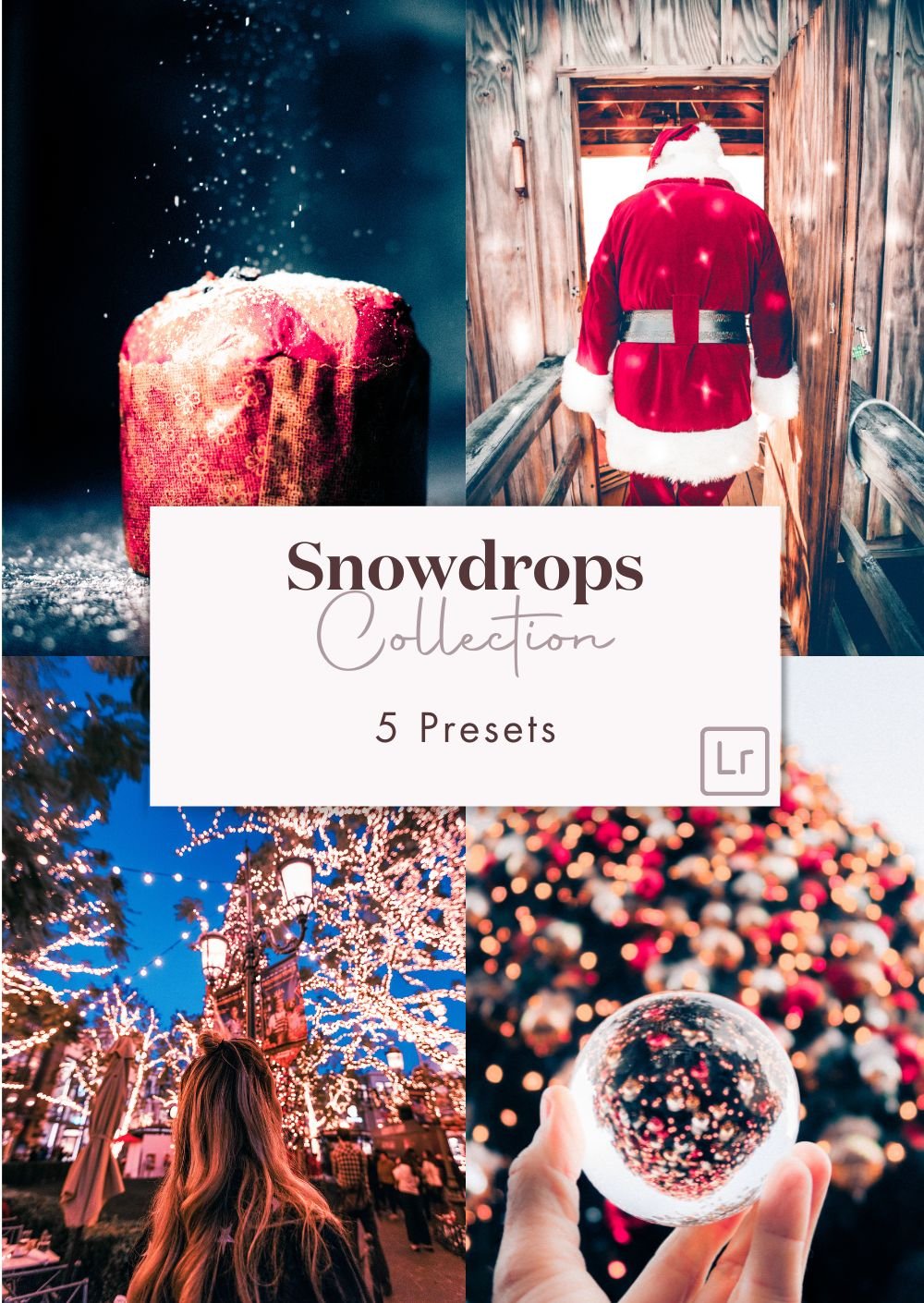 Snowdrops Presets Collection