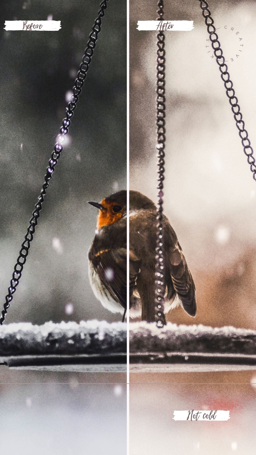 Snowdrops Presets Collection