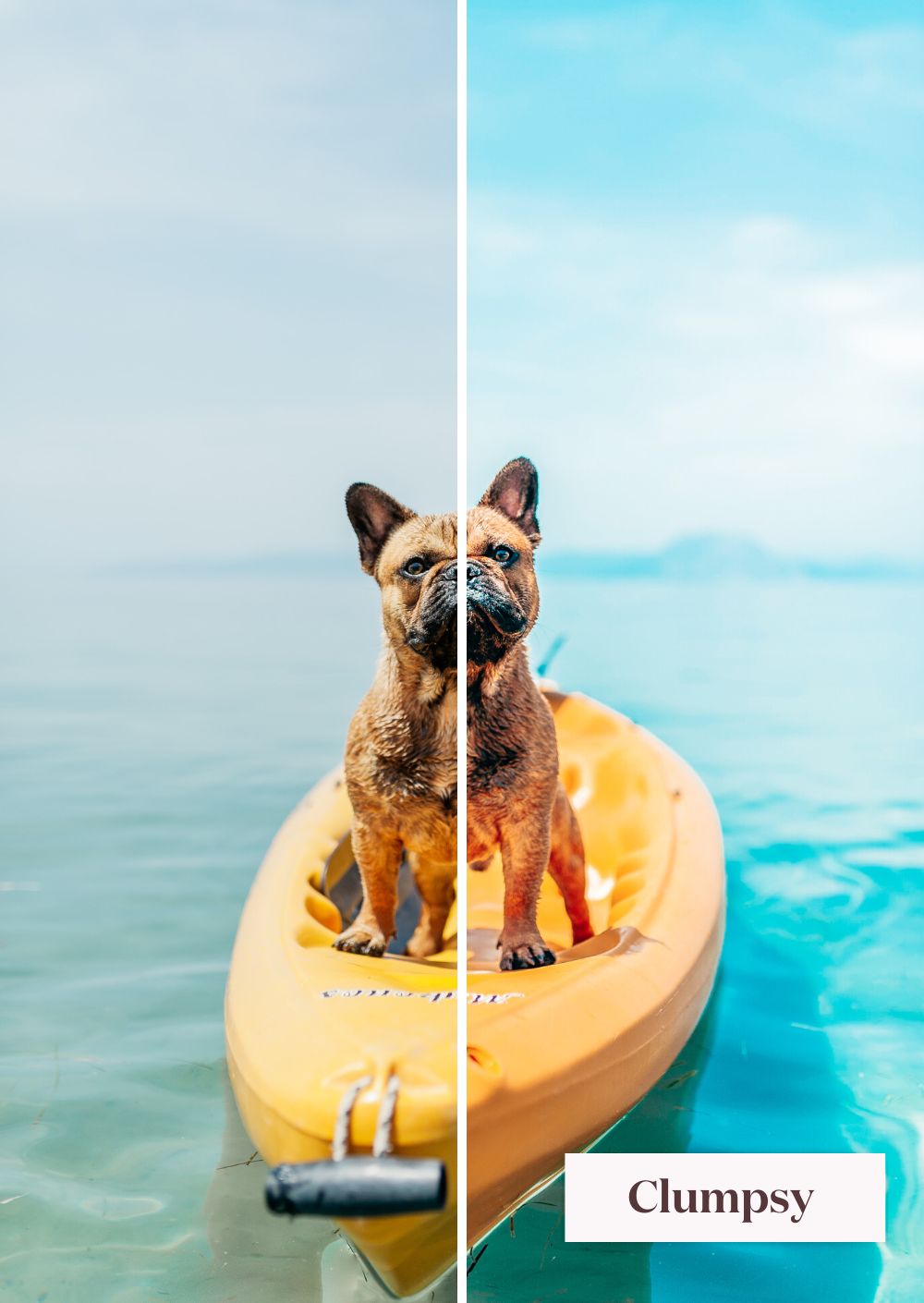 Pet Collection (Presets)