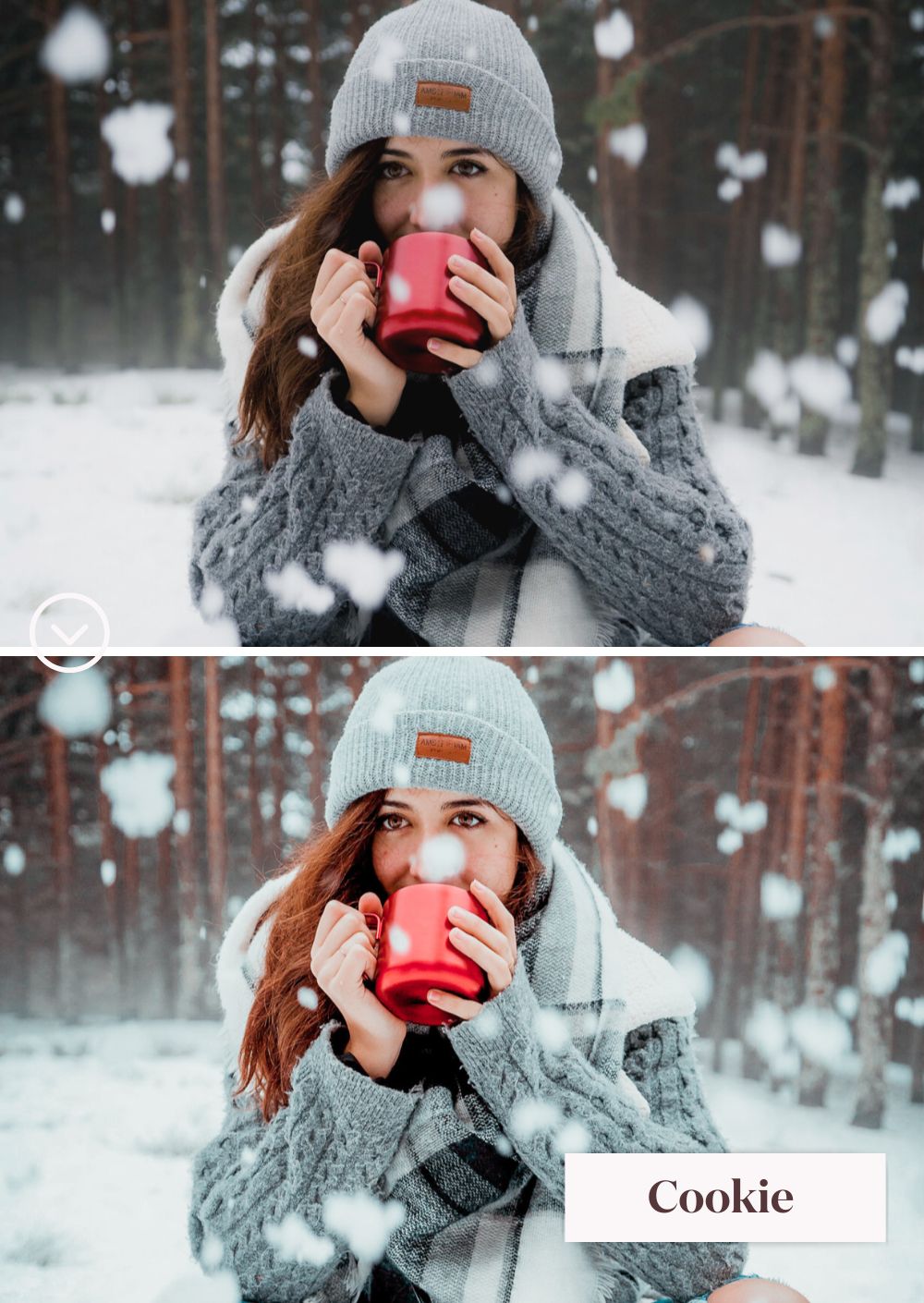 Winter Collection (Presets)