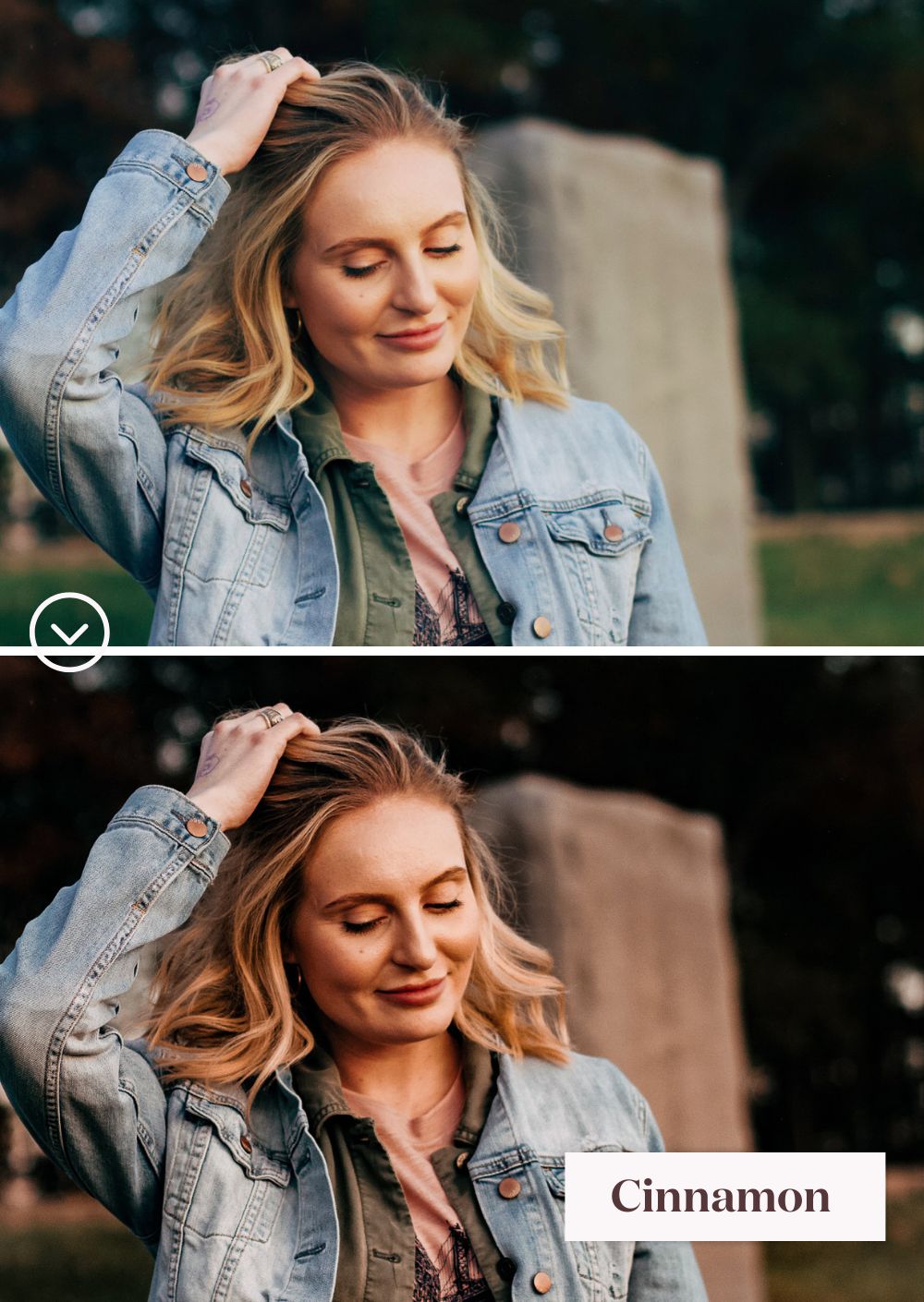 Winter Collection (Presets)