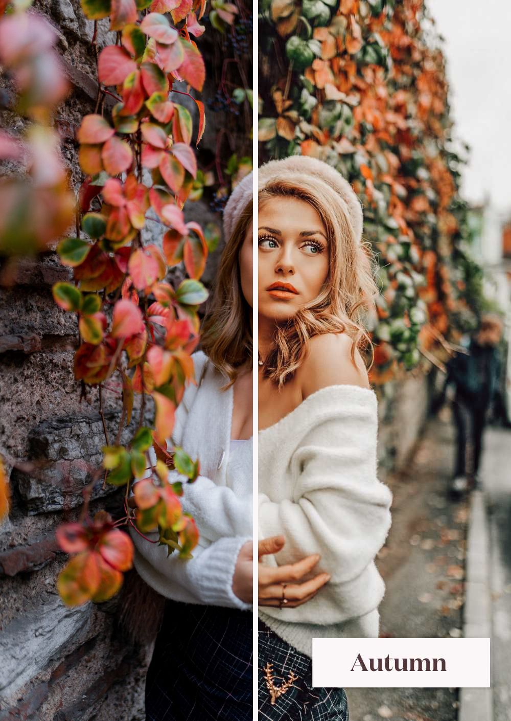 Autumn Collection (Presets)