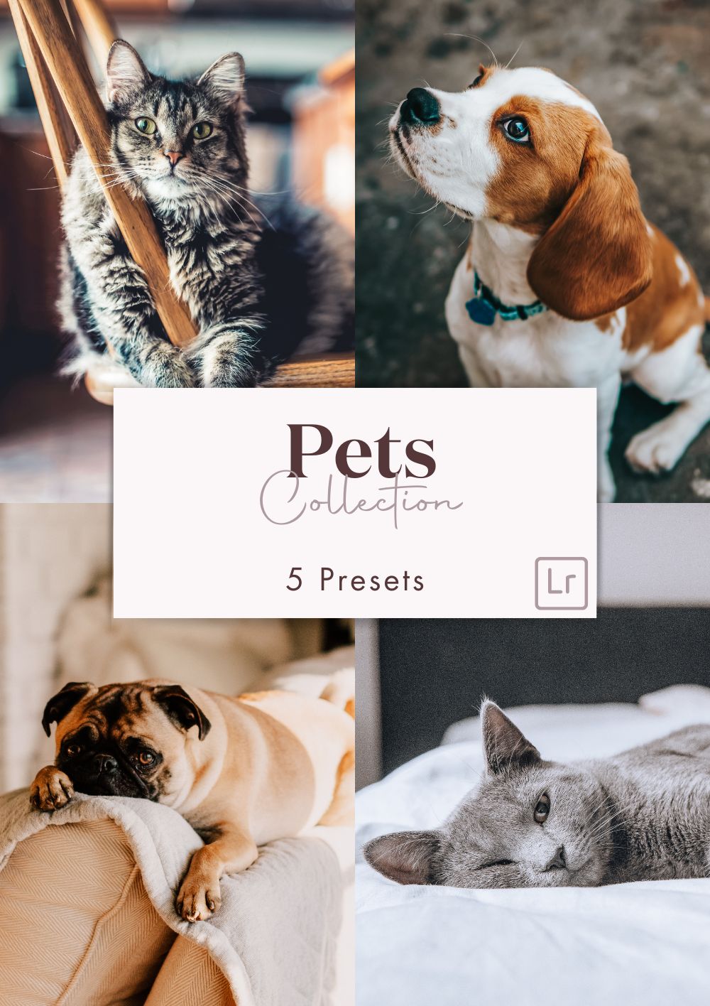 Pet Collection (Presets)